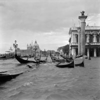 Venezia, Acqua Alta, 1966