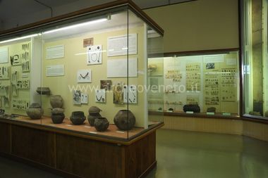 MUSEO CIVICO DI STORIA NATURALE DI VERONA