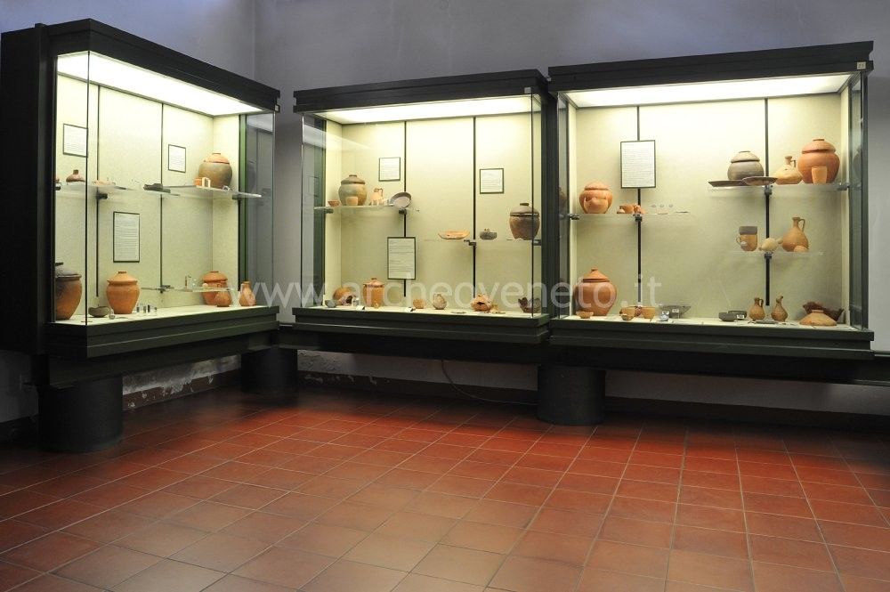 MUSEO DI STORIA NATURALE E ARCHEOLOGIA DI MONTEBELLUNA