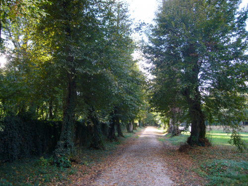 Parco di Villa Loschi, Zileri, Dal Verme, Motterle