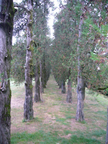Parco di Villa Fracanzan, Dal Ferro, Orgian, Piovene Orgian, Piovene Porto Godi, Piovene