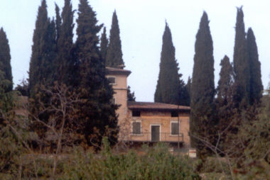 Villa Nichelosa, Camis 