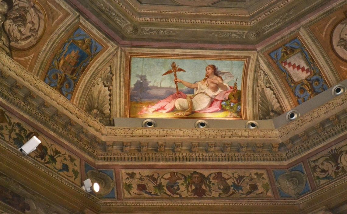 Palazzo Santo Stefano, Sala del Consiglio particolari 5