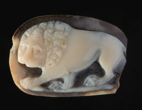 gemma / leone gradiente / II sec. d.C. -  Museo Archeologico Nazionale di Venezia