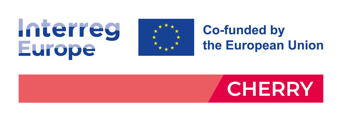 Logo a barra del progetto europeo CHERRY