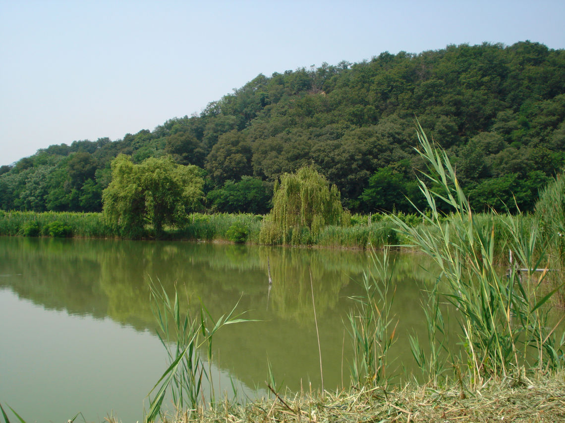Veduta del Lago di Lispida a Monticelli -  Archivio Parco Regionale dei Colli Euganei