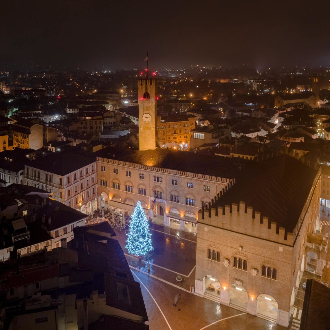 Treviso, Piazza dei Signori con albero di Natale illuminato, 2023 -  Comune di Treviso