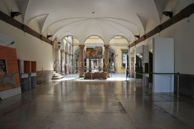 MUSEO CIVICO DI STORIA NATURALE DI VERONA