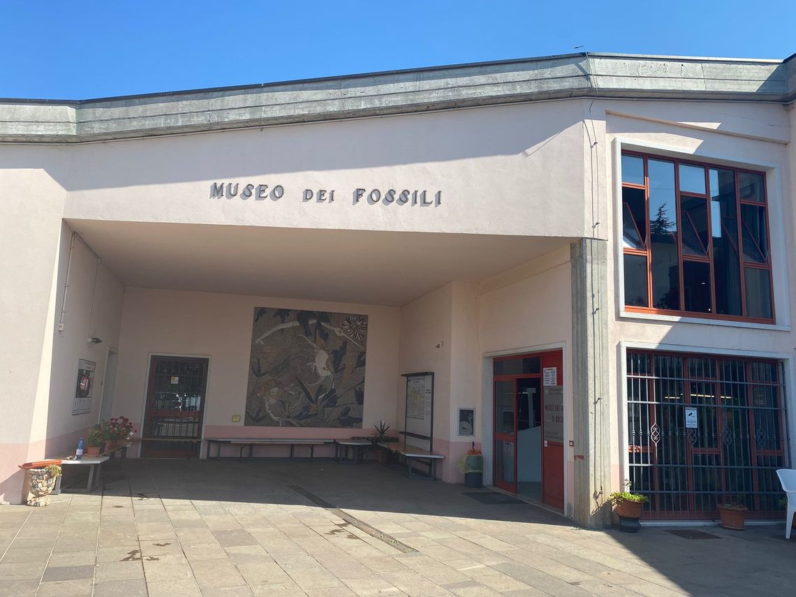 ingresso frontale del Museo dei Fossili di Bolca con scritta "museo dei fossili" e pannello con rappresentati i fossili di pesci