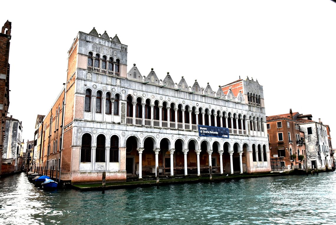 MUSEO DI STORIA NATURALE DI VENEZIA