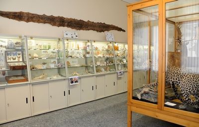 MUSEO DIOCESANO DI SCIENZE NATURALI " A. DE NARDI"