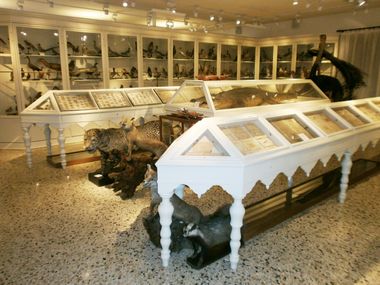 MUSEO STORICO-SCIENTIFICO-NATURALISTICO DEL SEMINARIO VESCOVILE DI VICENZA