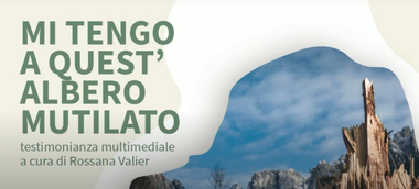 Locandina di presentazione de "Mi tengo a quest'albero mutilato". Sotto c'è la scritta verde "Testimonianza multimediale a cura di Rossana Valier". Lo sfondo è bianco e a destra c'è la foto di un albero mutilato.