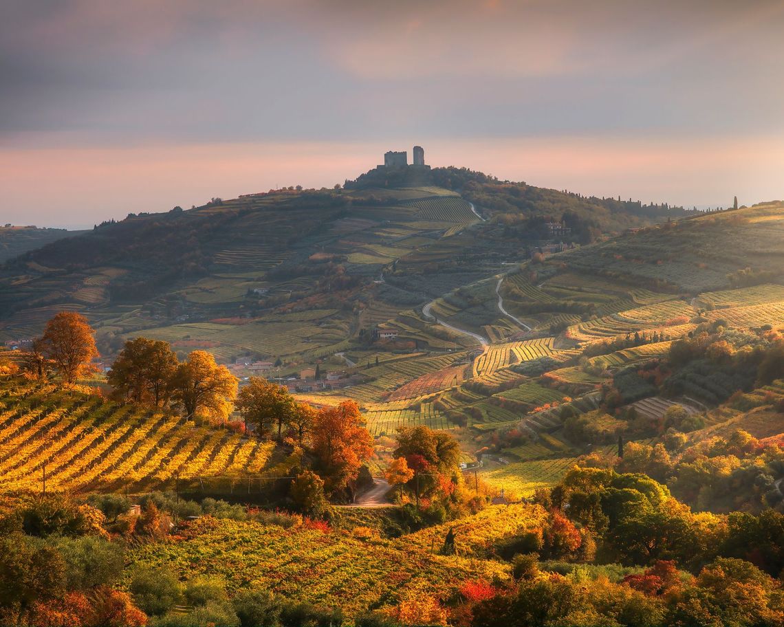 colline con alberi di colori autunnali