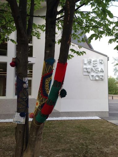 BiblioTour – Silea TV, Biblioteca comunale