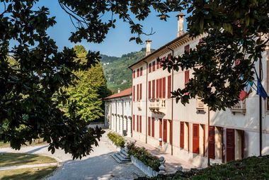 Immagine della villa tra gli alberi