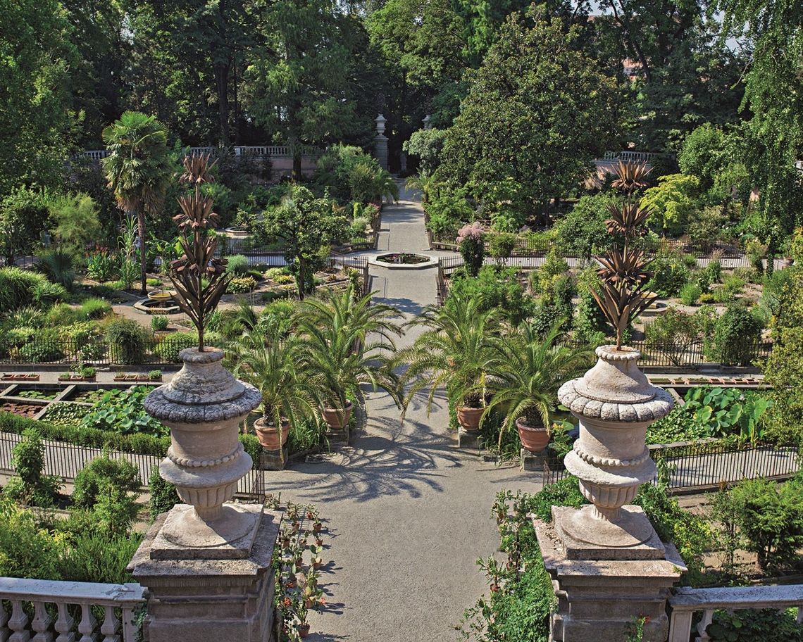 vista dall'altro dell'Hortus cinctus Orto Botanico Padova