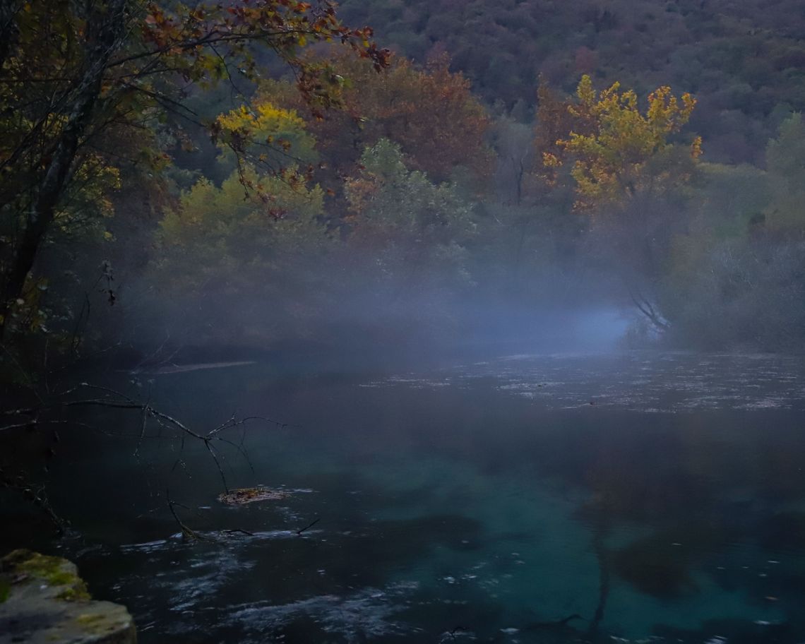 lago con vegetazione avvolto nella nebbia