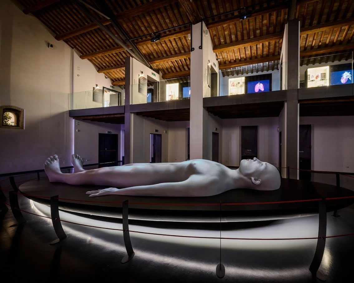 Modello di corpo umano interattivo disteso, lungo 8 m