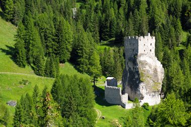 veduta tra il verde della torre del castello