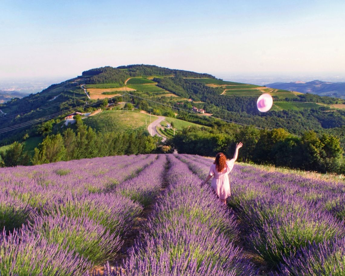 bambina di spalle in mezzo a un campo di lavanda con colli sullo sfondo