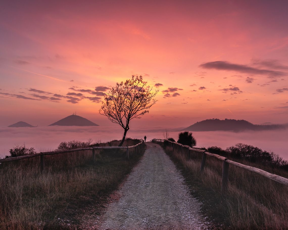 immagine di un sentiero tra i prati al tramonto