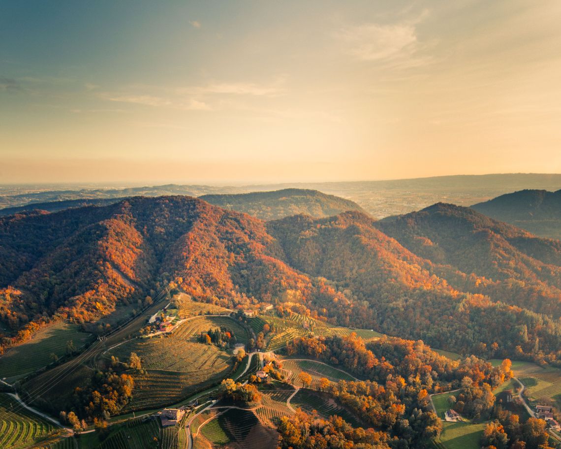 Colline coltivate a vigneti