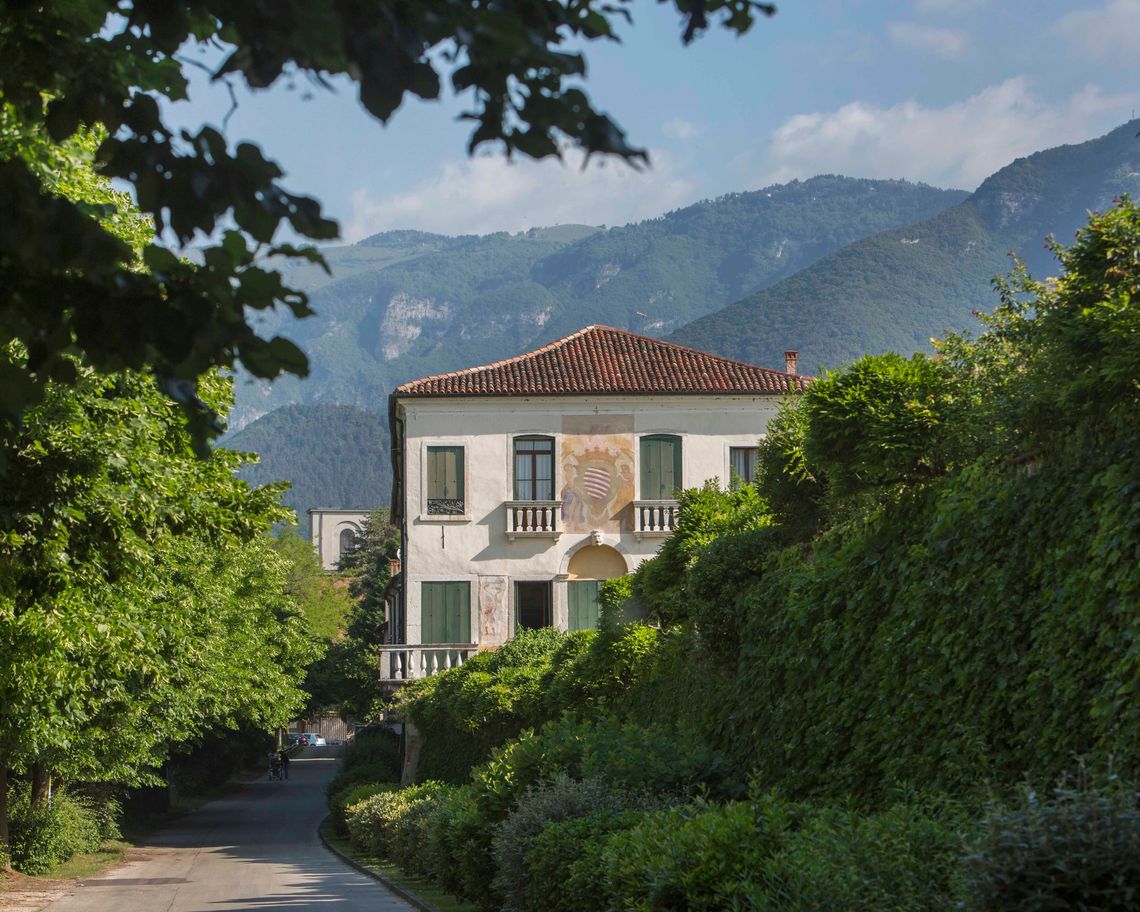 Facciata laterale della villa tra le piante