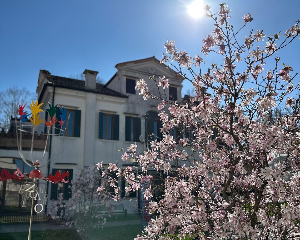 facciata della villa con albero di pesco in fiore