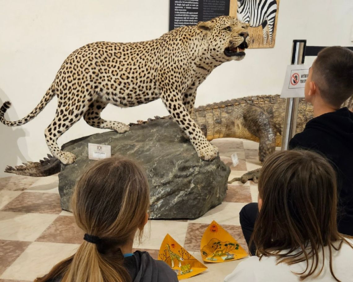 guida che spiega ai ragazzi davanti alle tassidermie