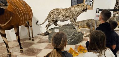 guida che spiega ai ragazzi davanti alle tassidermie