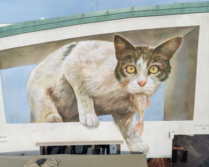 Gatto gigante con un pesce in bocca