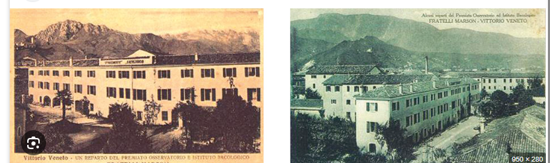 Museo dell'Industria bacologica - Marson