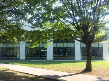 Biblioteca esterno: edificio moderno bianco ad un piano con 4 finestrone ad arcata e veduta del prato del giardino con un grande albero laterale