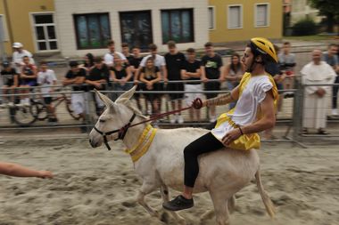 Fantino con caschetto giallo su asino bianco