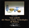 Vetri antichi del Museo Civico Archeologico di Padova